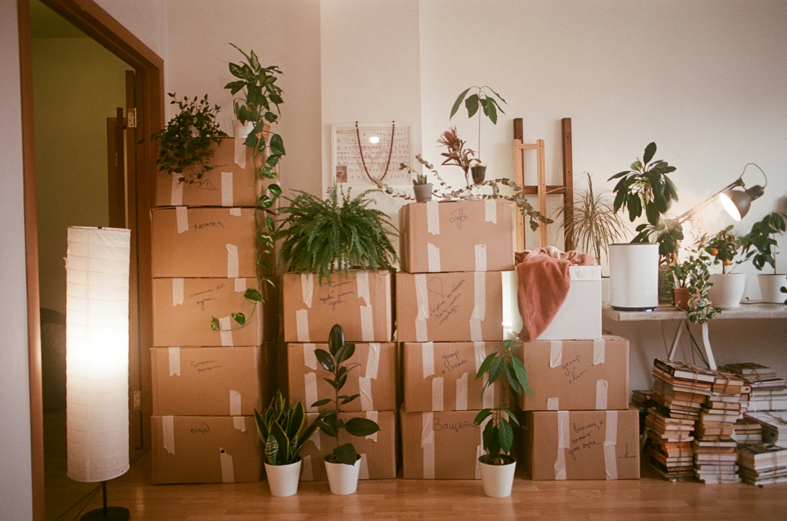 Fragile Items Moving Guide: Protecting Your Valuables During Transit