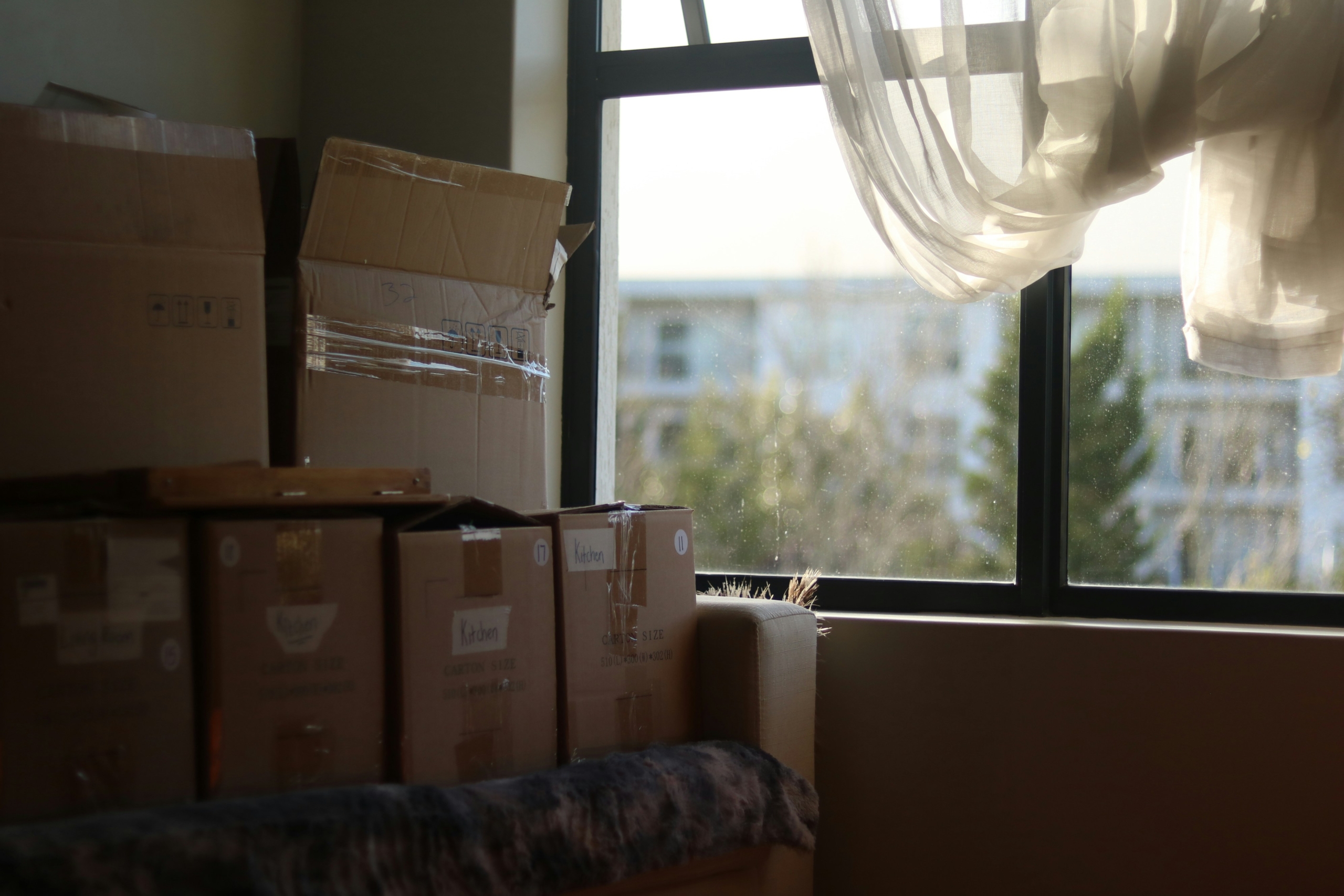 Professional Packing vs DIY: Complete Cost and Time Analysis